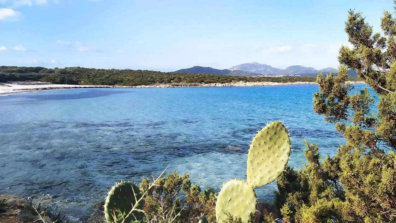Appartement Sardegna Top Golfo Di Marinella Golfo Aranci Italie